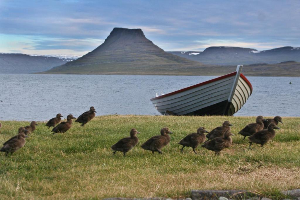 Hotel Isafjordur - Horn Esterno foto